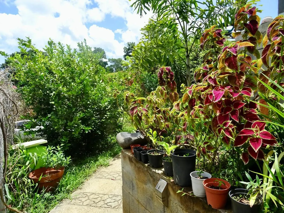 Bungalow Dourou Deshaies 0*,