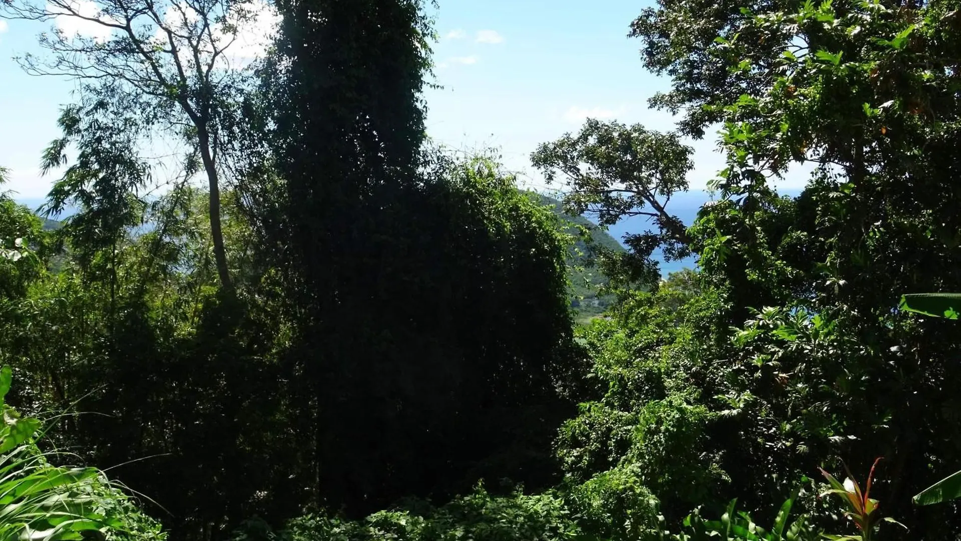 Holiday home Bungalow Dourou Deshaies Guadeloupe
